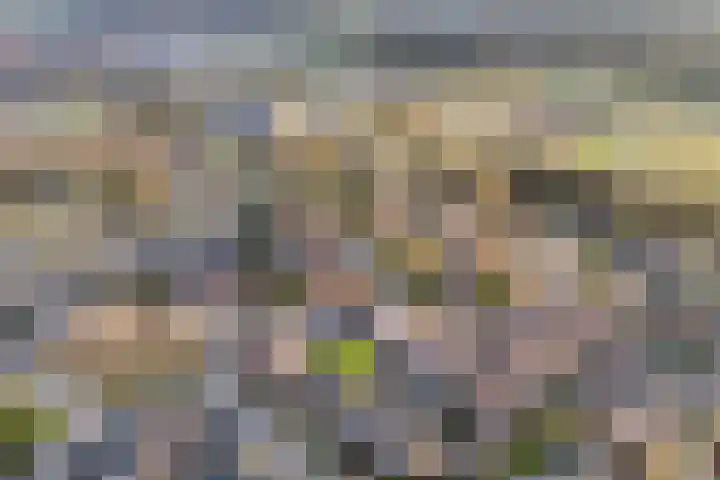 Sperwer 57 Ommen thumbnail 5