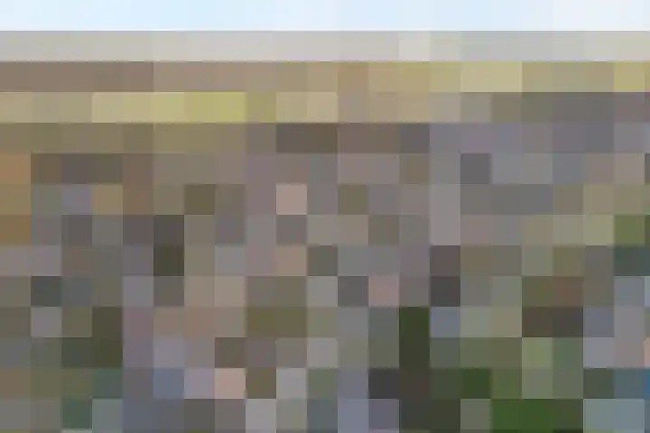 Sperwer 57 Ommen thumbnail 54