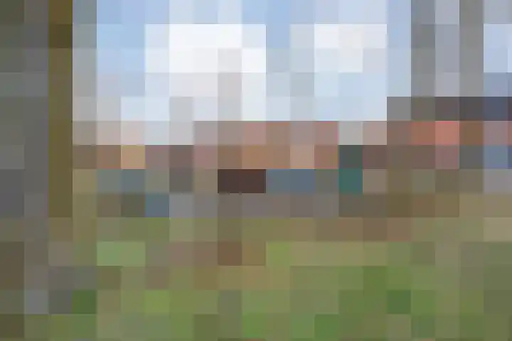 Sperwer 57 Ommen thumbnail 57