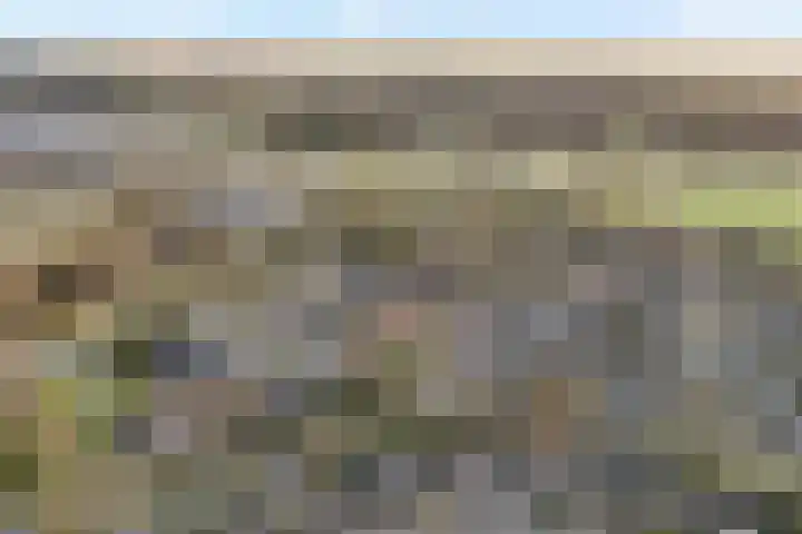 Sperwer 57 Ommen thumbnail 6