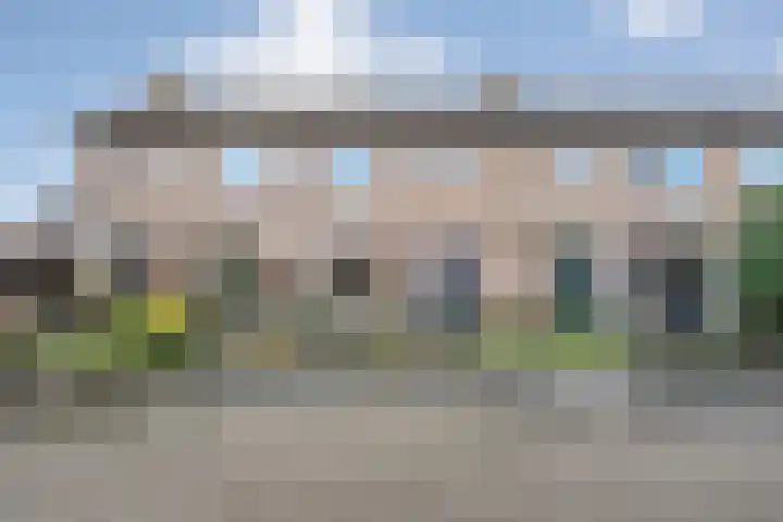 Sperwer 57 Ommen thumbnail 9