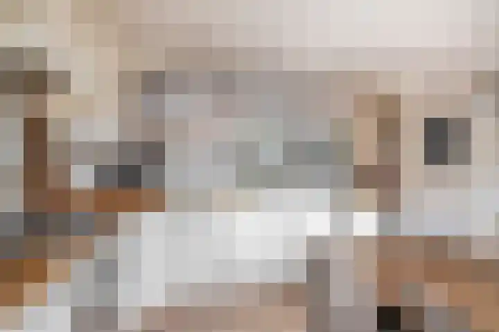 Sperwerhoek 12 Waddinxveen thumbnail 15
