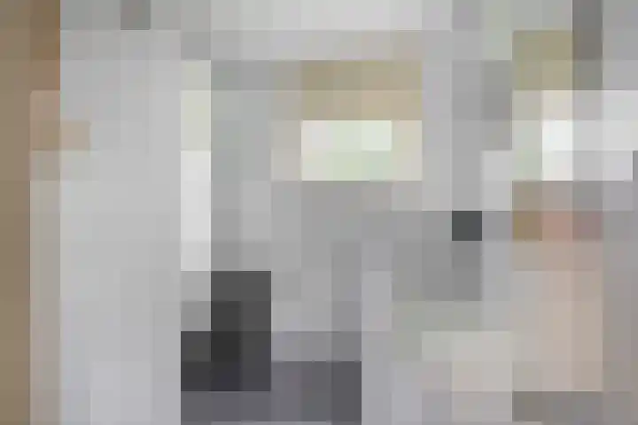 Sperwerhoek 12 Waddinxveen thumbnail 29