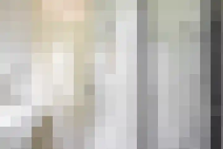 Sperwerhoek 12 Waddinxveen thumbnail 30