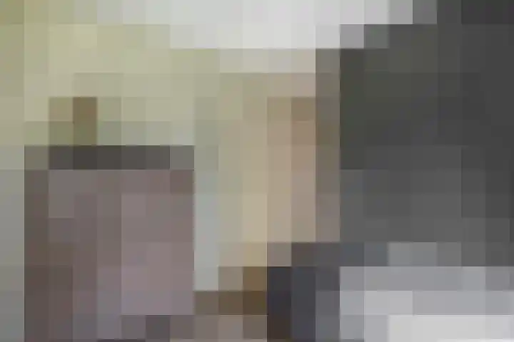 Sperwerhoek 12 Waddinxveen thumbnail 34