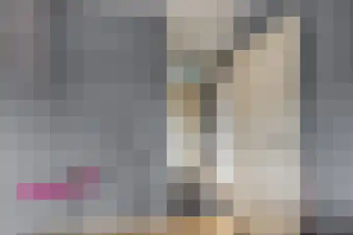 Sperwerhoek 12 Waddinxveen thumbnail 36
