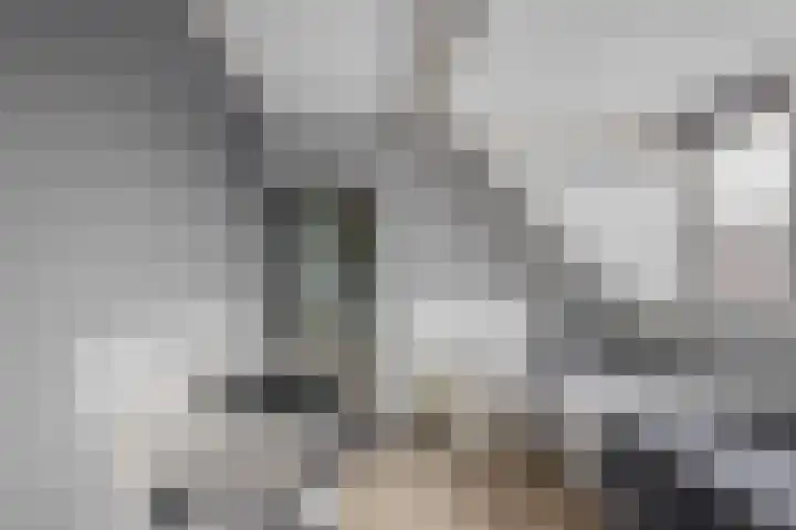 Sperwerhoek 12 Waddinxveen thumbnail 38