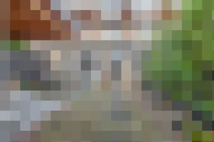 Sperwerhoek 12 Waddinxveen thumbnail 4