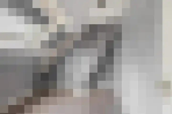 Sperwerhoek 12 Waddinxveen thumbnail 40
