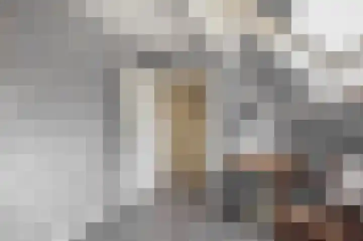 Sperwerhoek 12 Waddinxveen thumbnail 41