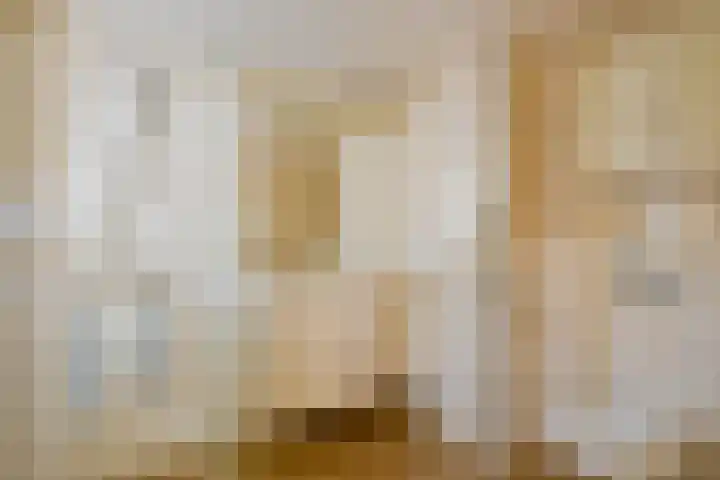 Sperwerhof 125 Schagen thumbnail 16