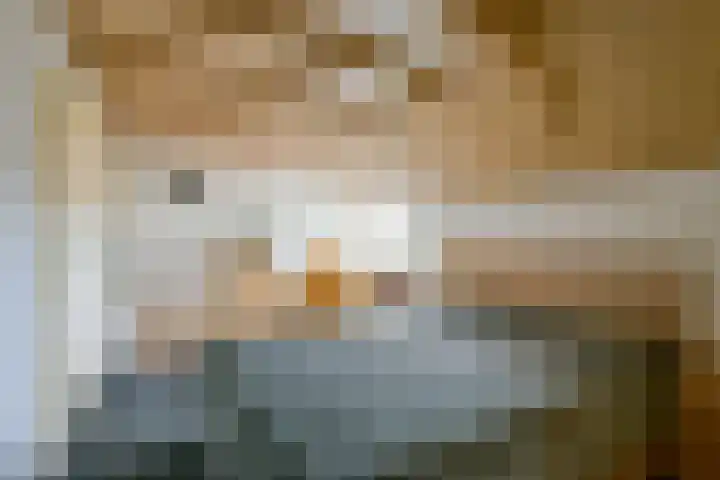 Sperwerhof 125 Schagen thumbnail 18