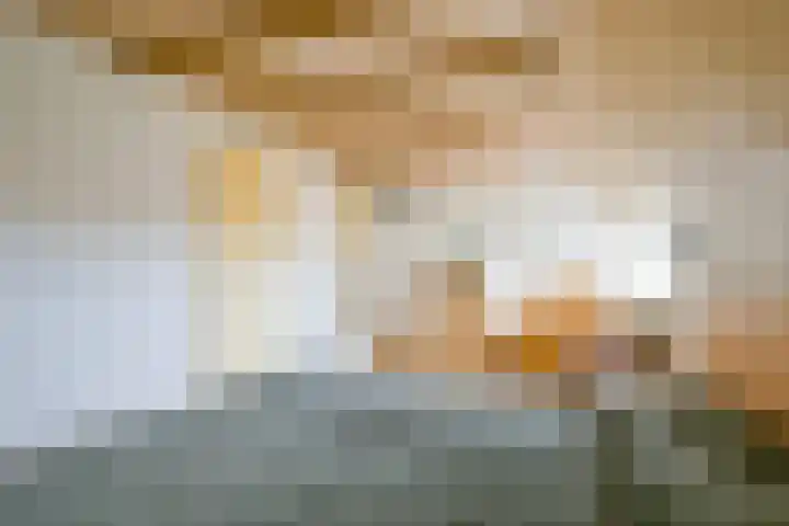 Sperwerhof 125 Schagen thumbnail 19
