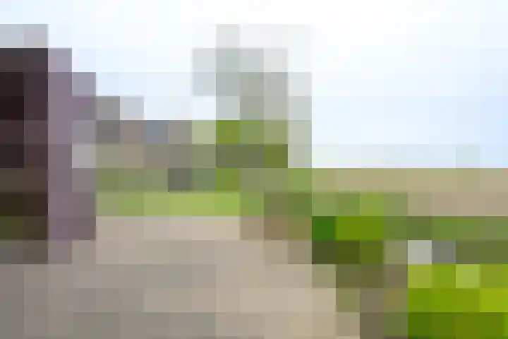 Sperwerhof 125 Schagen thumbnail 21