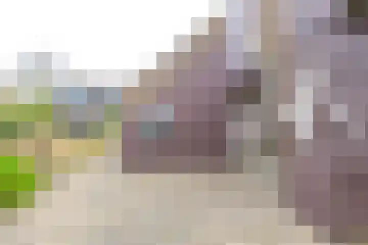 Sperwerhof 125 Schagen thumbnail 22