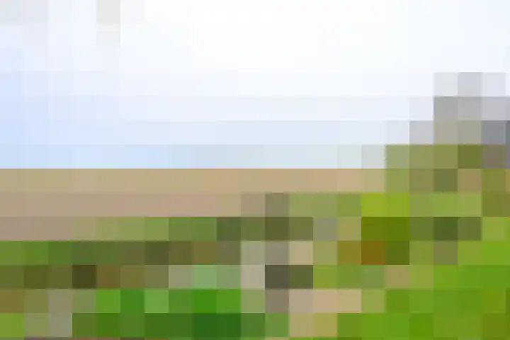 Sperwerhof 125 Schagen thumbnail 25