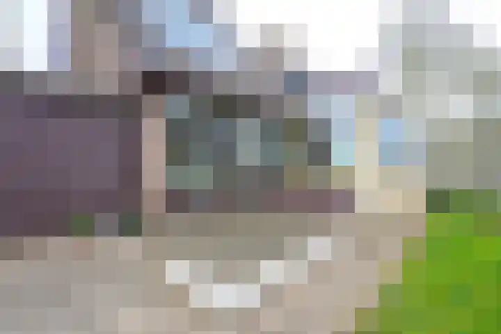 Sperwerhof 125 Schagen thumbnail 27