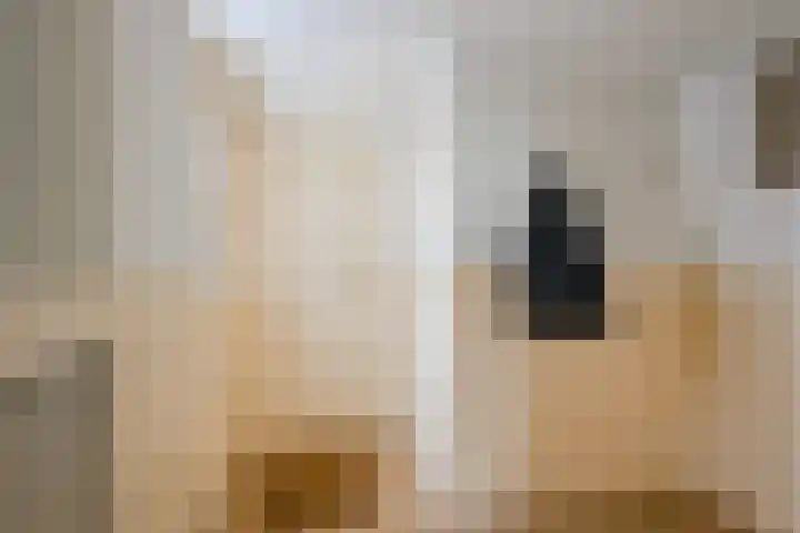 Sperwerhof 125 Schagen thumbnail 39