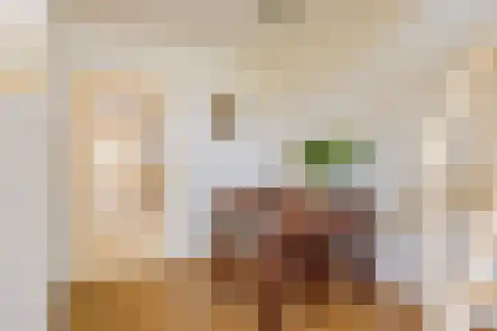 Sperwerhof 125 Schagen thumbnail 9