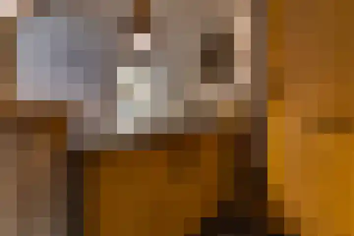 Sperwerhof 14 Ter Apel thumbnail 11
