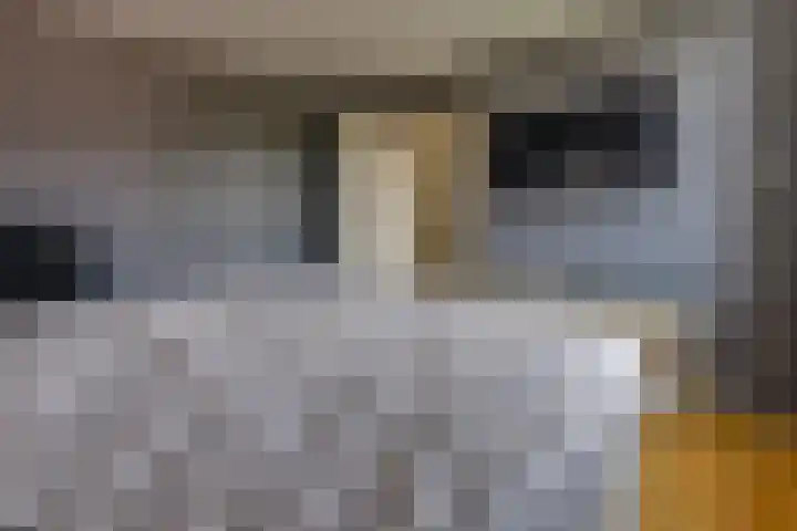 Sperwerhof 14 Ter Apel thumbnail 29