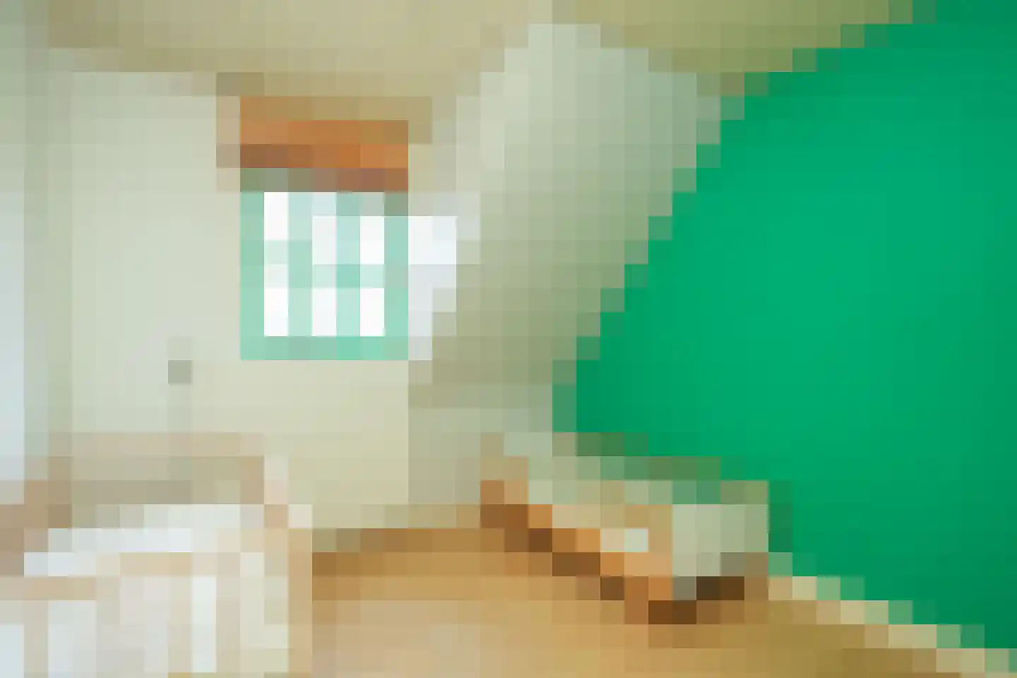 Sperwerhof 14 Ter Apel thumbnail 30