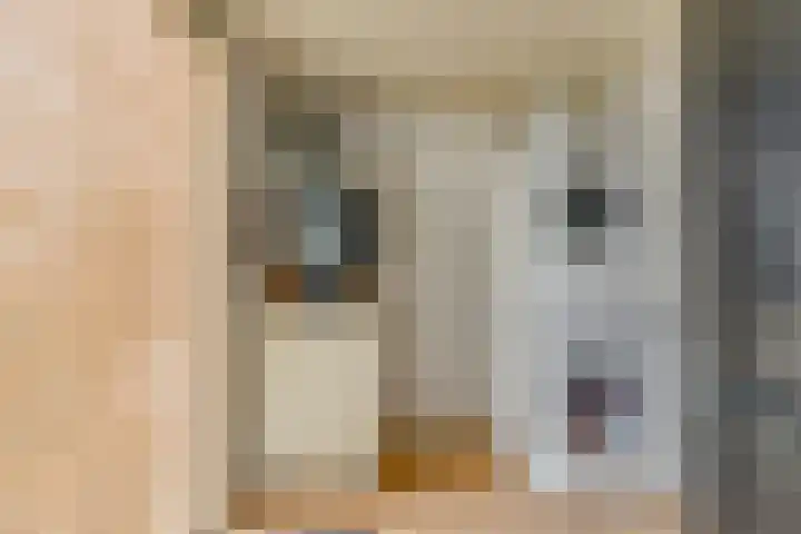 Sperwerhof 19 Ter Apel thumbnail 16