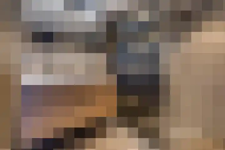 Sperwerhof 19 Ter Apel thumbnail 21