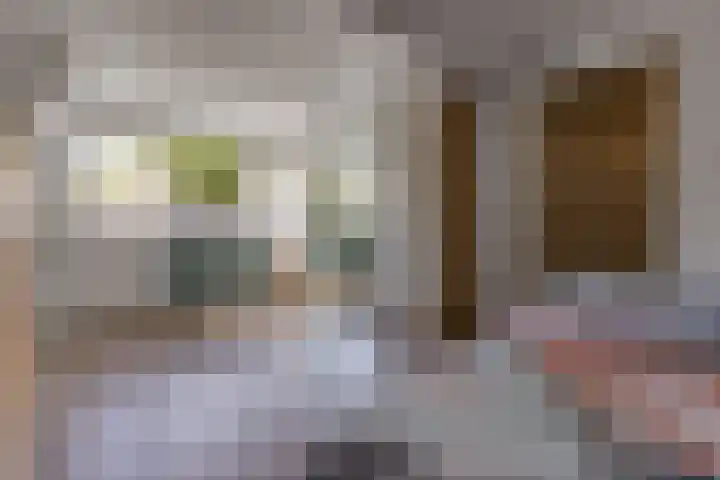 Sperwerhof 19 Ter Apel thumbnail 36