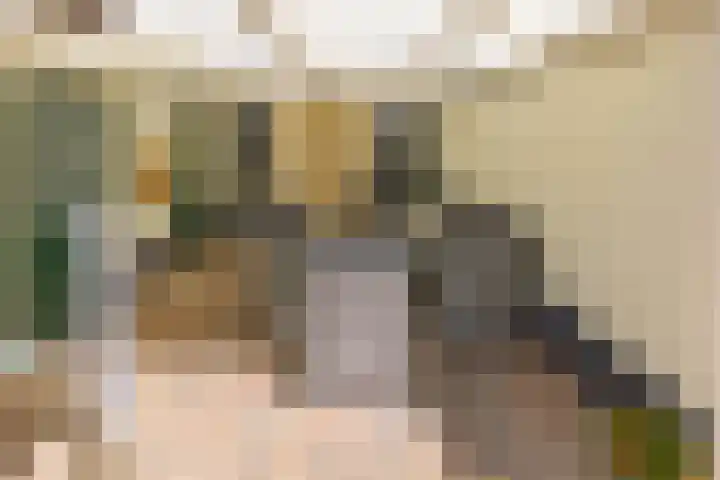 Sperwerhof 19 Ter Apel thumbnail 41