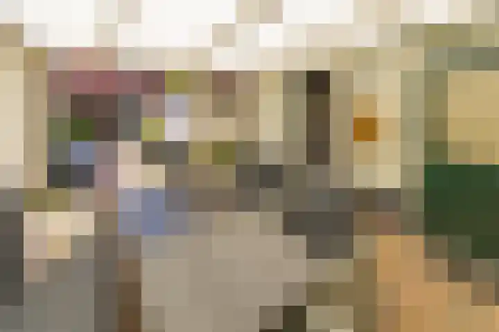 Sperwerhof 19 Ter Apel thumbnail 43