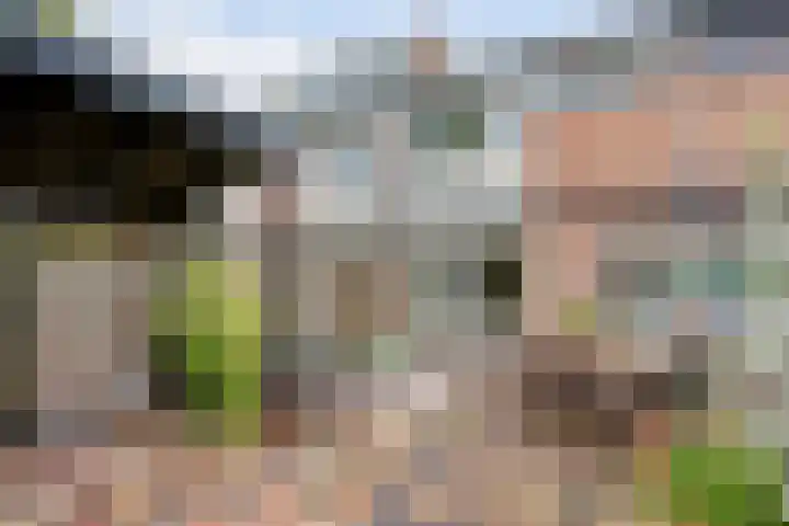 Sperwerhof 23 Schagen thumbnail 10