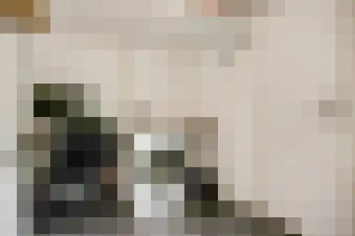 Sperwerhof 23 Schagen thumbnail 18