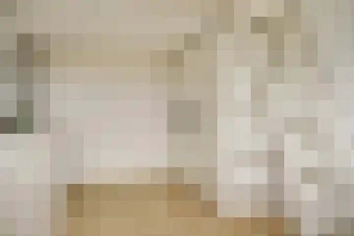 Sperwerhof 23 Schagen thumbnail 21