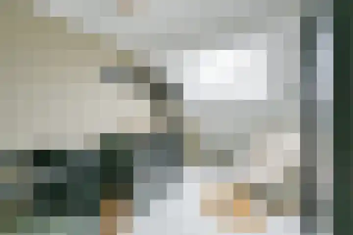 Sperwerhof 29 Schagen thumbnail 14