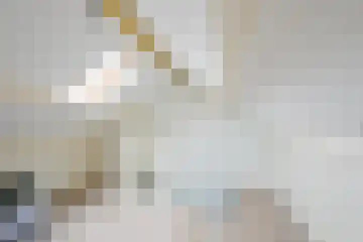 Sperwerhof 29 Schagen thumbnail 20