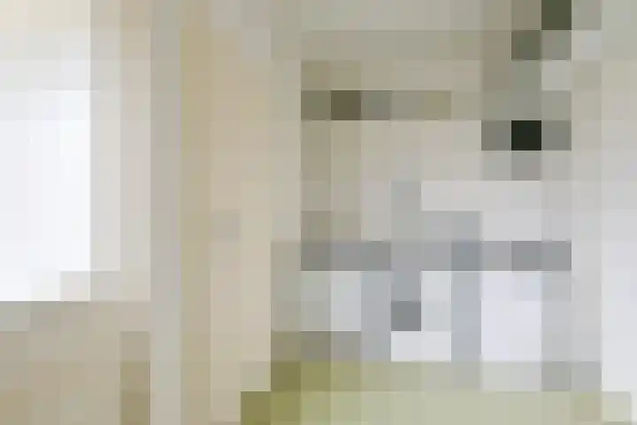 Sperwerhof 29 Schagen thumbnail 22