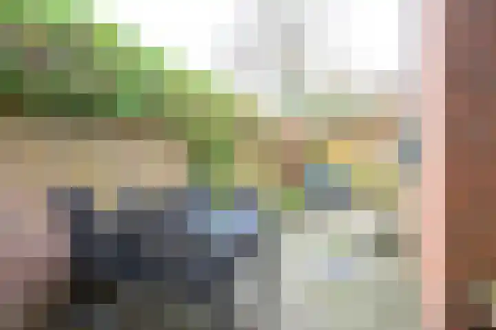 Sperwerhof 29 Schagen thumbnail 8