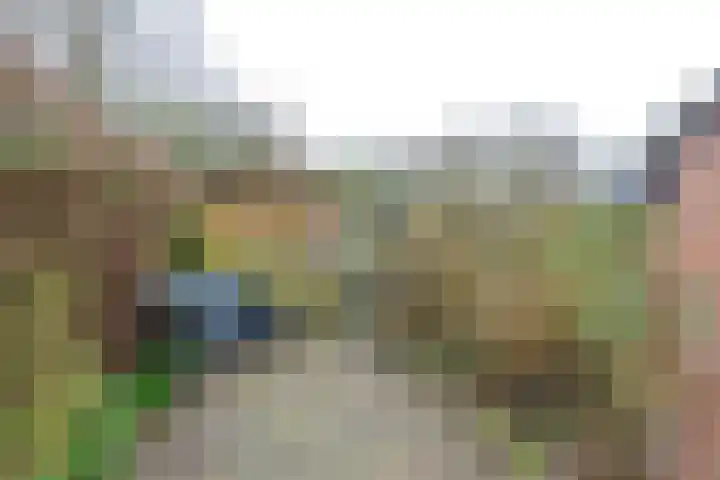 Sperwerhof 29 Schagen thumbnail 9