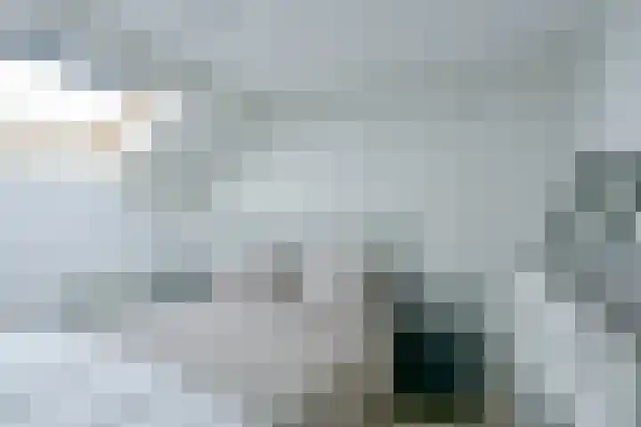 Sperwerhof 35 Schagen thumbnail 24