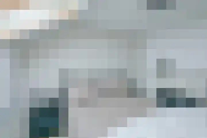 Sperwerhof 35 Schagen thumbnail 25
