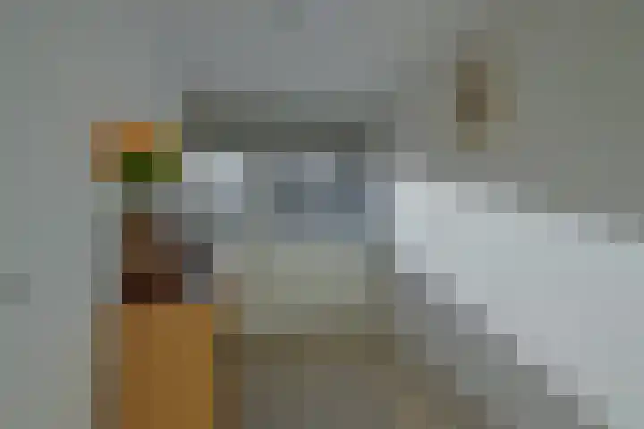 Sperwerhof 35 Schagen thumbnail 27