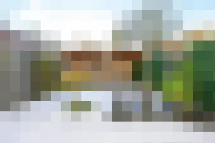 Sperwerhof 35 Schagen thumbnail 7