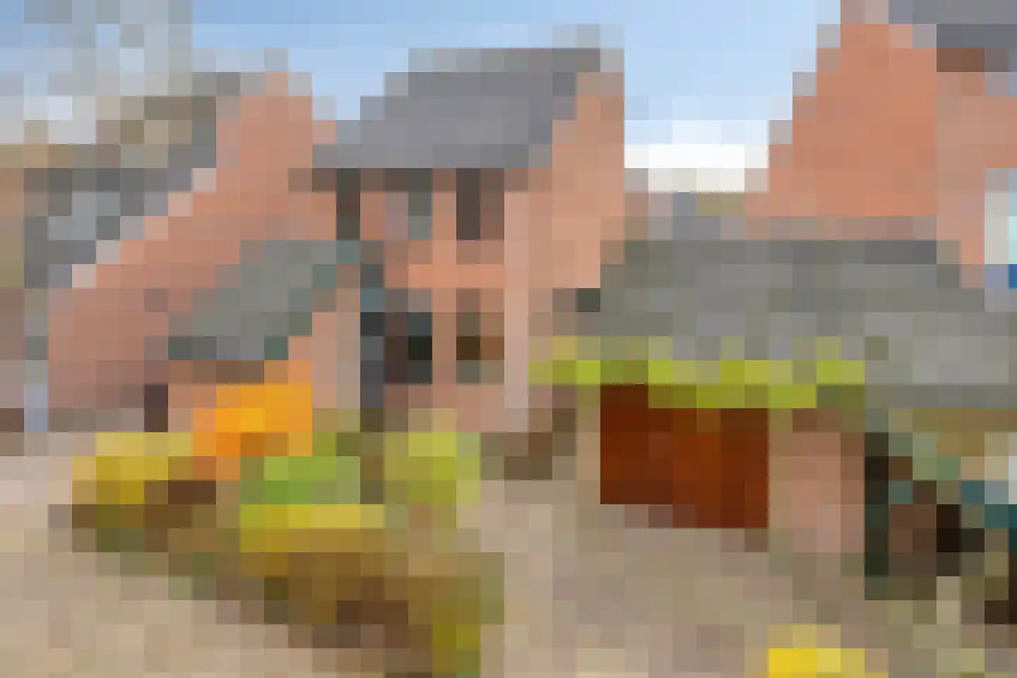 Sperwerhorst 23 Cuijk