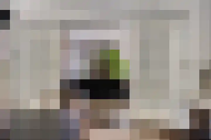 Sperwerlaan 11 Eindhoven thumbnail 12