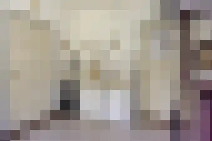 Sperwerlaan 11 Eindhoven thumbnail 15