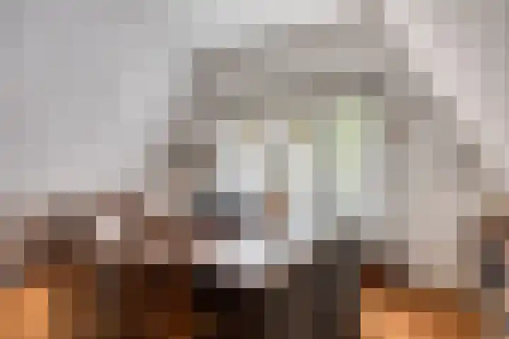 Sperwerlaan 11 Eindhoven thumbnail 22