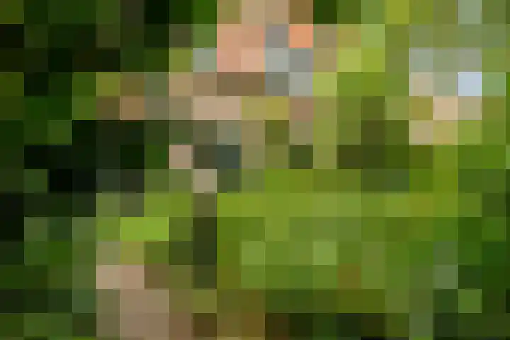 Sperwerlaan 11 Eindhoven thumbnail 28