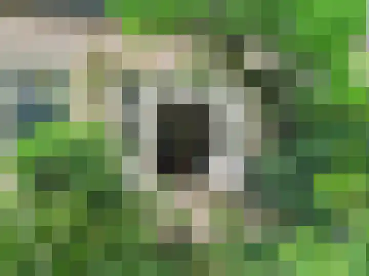 Sperwerlaan 11 Eindhoven thumbnail 29