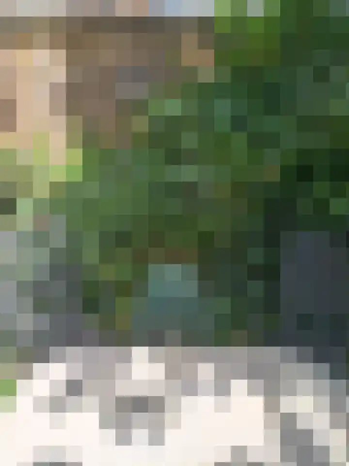 Sperwerlaan 11 Eindhoven thumbnail 30